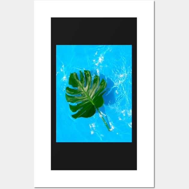 Monstera deliciosa plant floating on blue water Wall Art by gronly